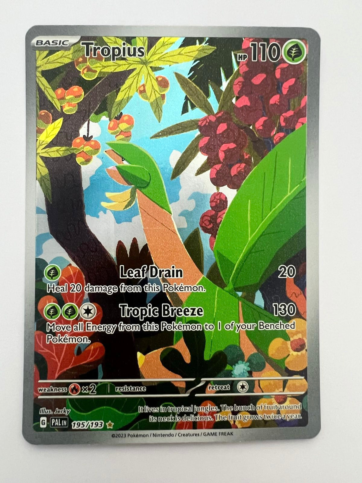 195/193 Tropius (Secret)