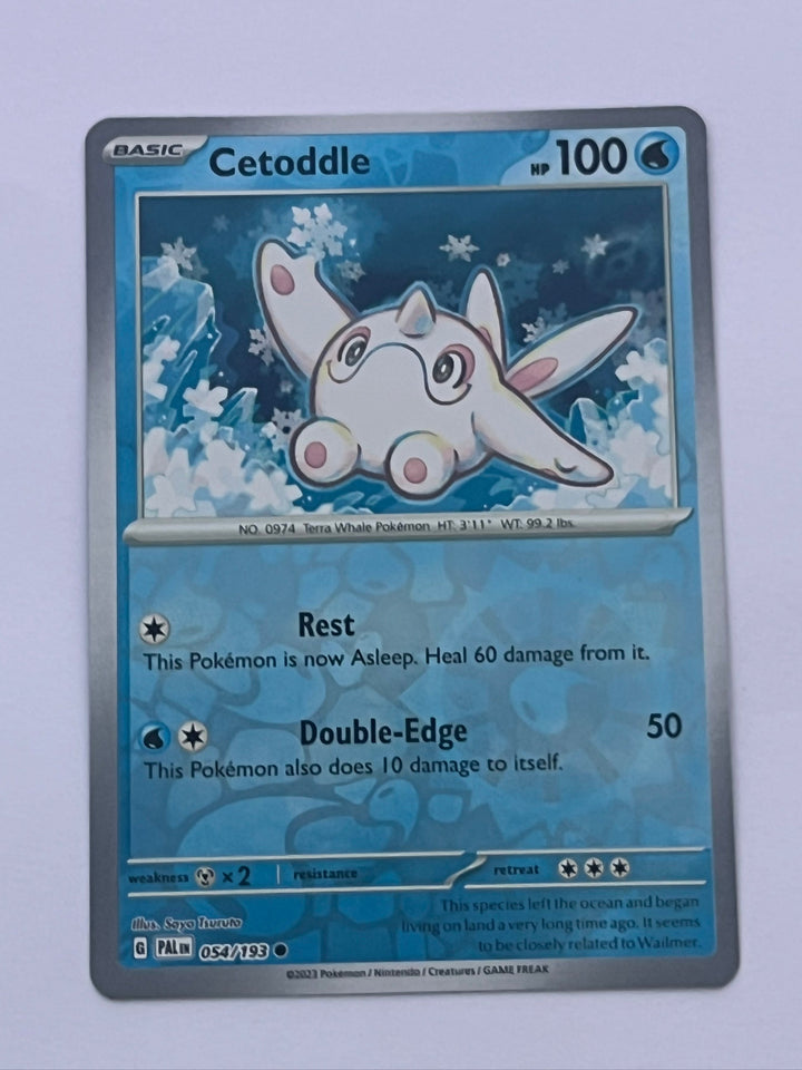 Cetoddle