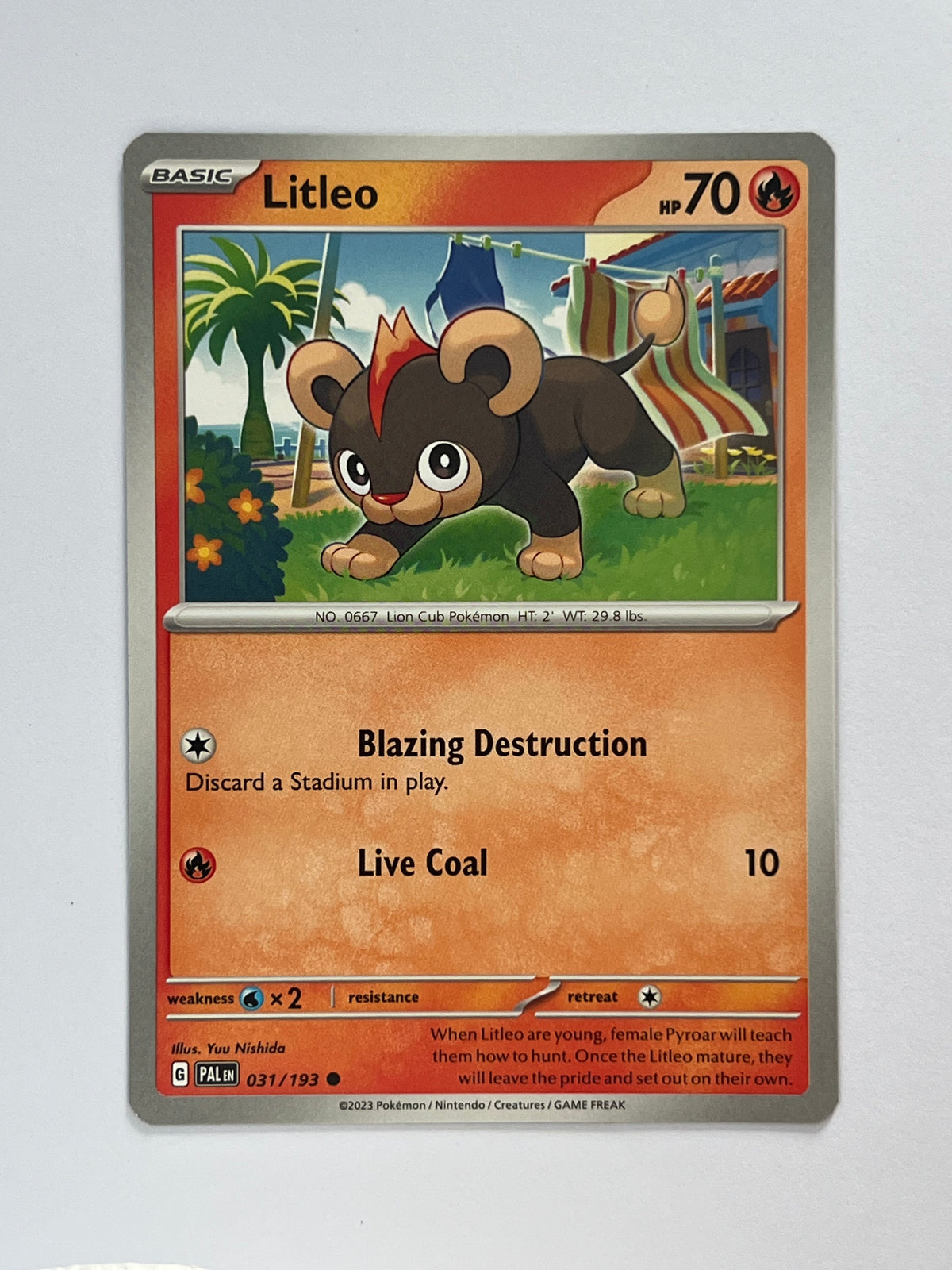 Litleo