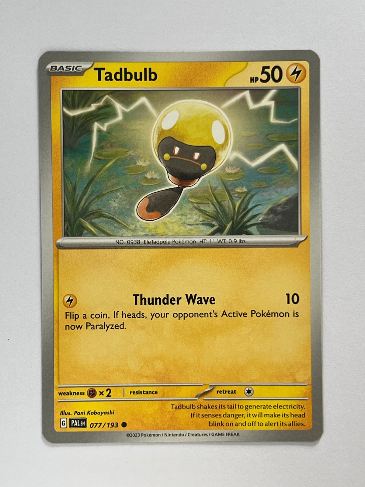 Tadbulb