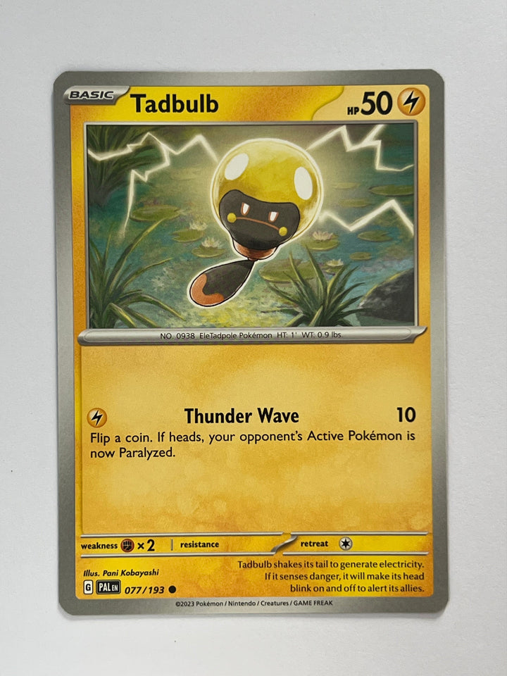 Tadbulb