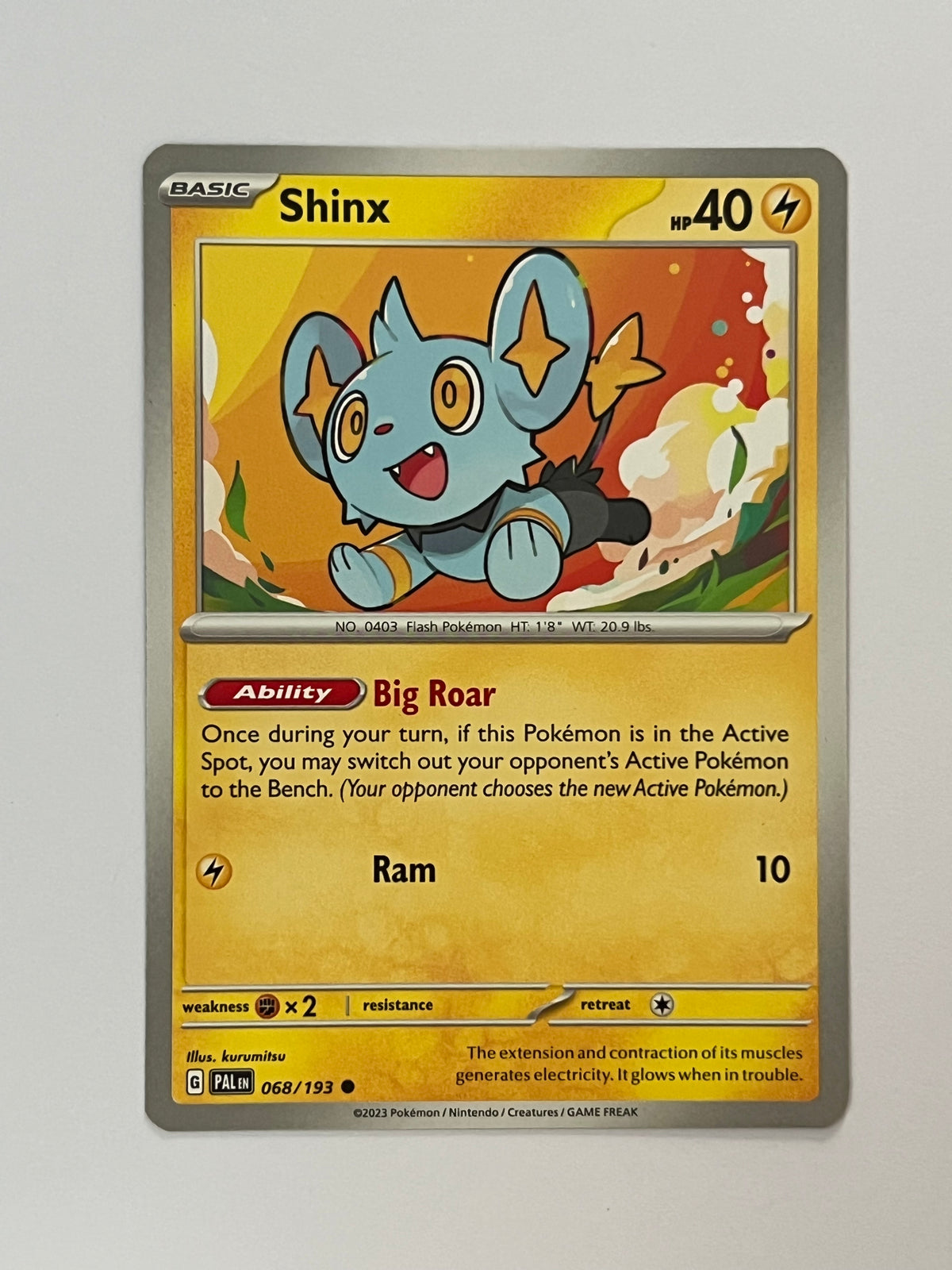 Shinx