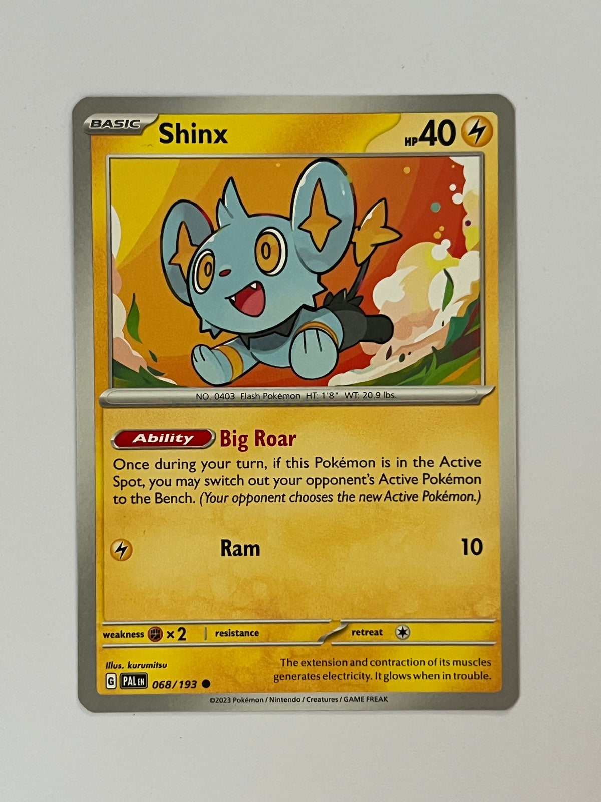 Shinx