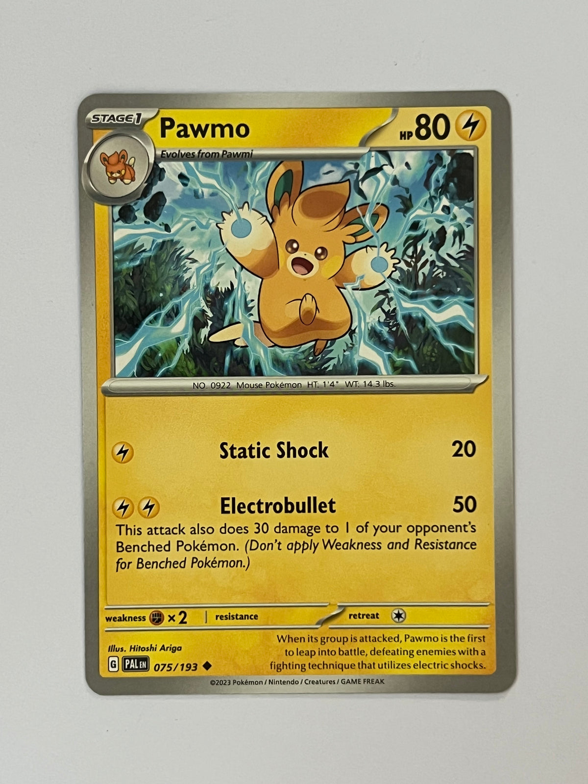 Pawmo