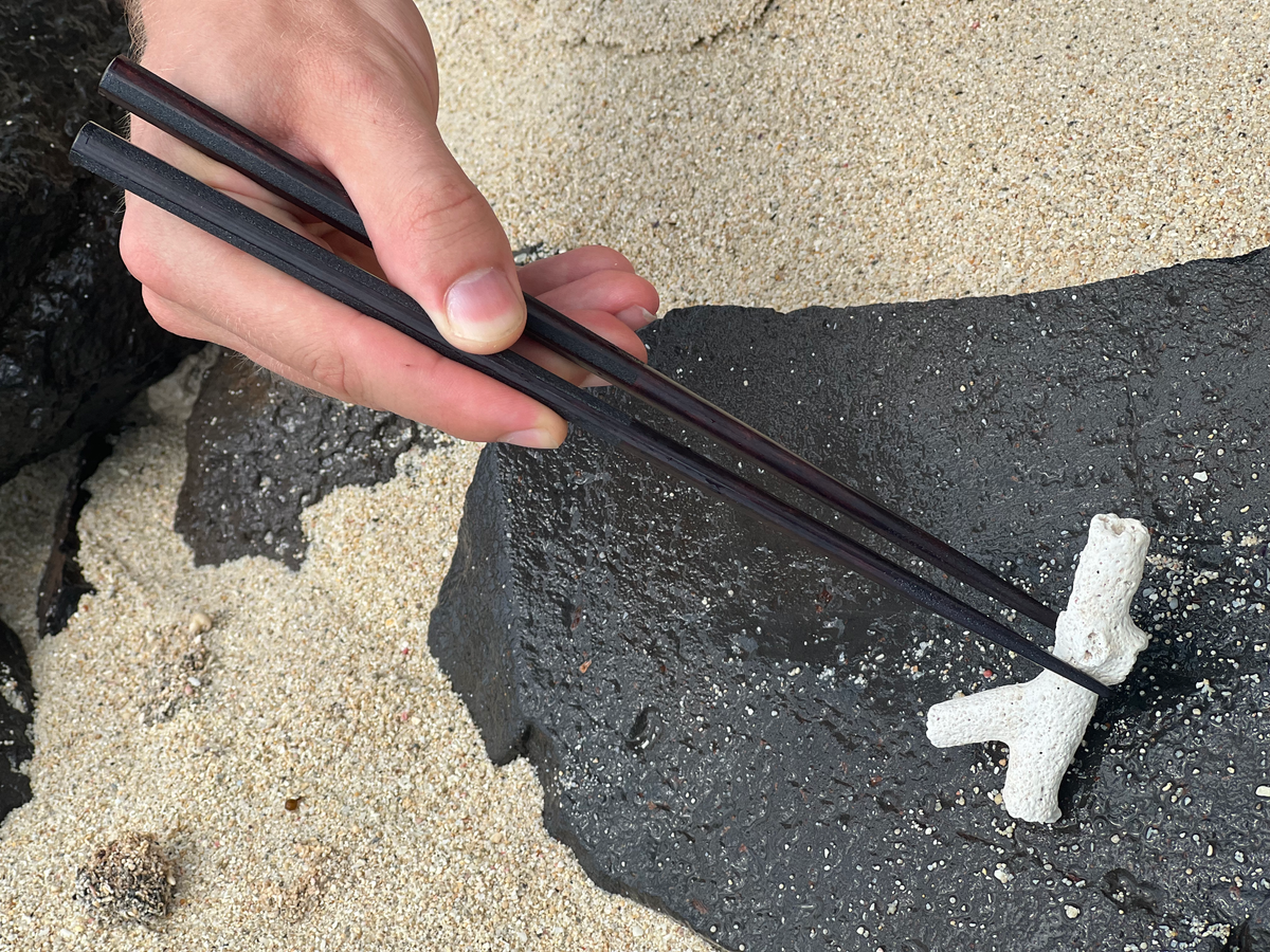Honō-seki no Hashi (炎石の箸) -Baguettes Burning Stones