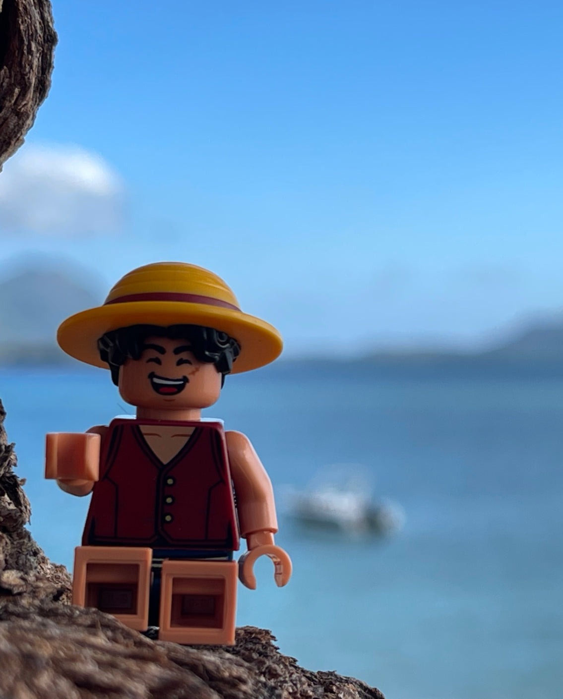 LEGO 75639 One Piece The Going Merry Pirate Ship